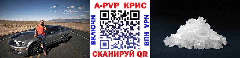 блэк спрут вход  Судогда  Альфа ПВП СК КРИС 