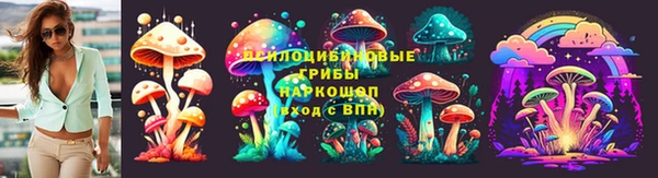 спиды Алзамай