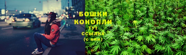 спиды Алзамай