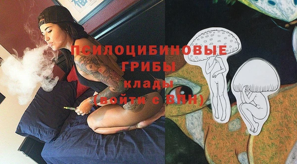 спиды Алзамай