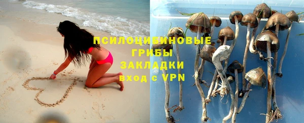 спиды Алзамай