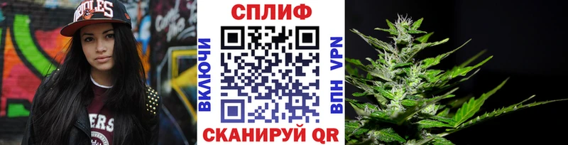 Конопля планчик  где найти   Судогда 